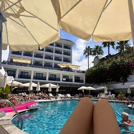 Zeugma - Adult Only 16 シダ