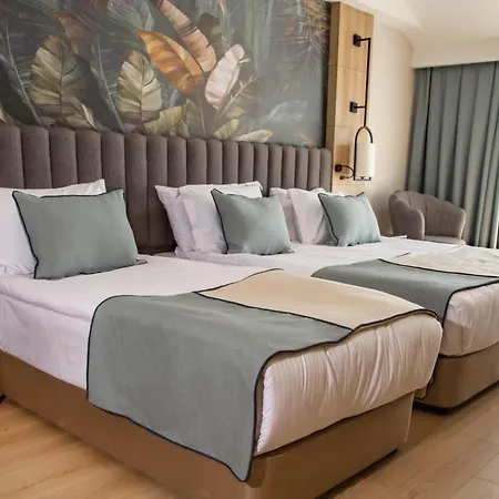 Zeugma - Adult Only 16 4* シダ