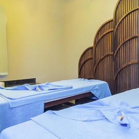 Zeugma - Adult Only 16 シダ