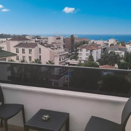 Zeugma - Adult Only 16 シダ